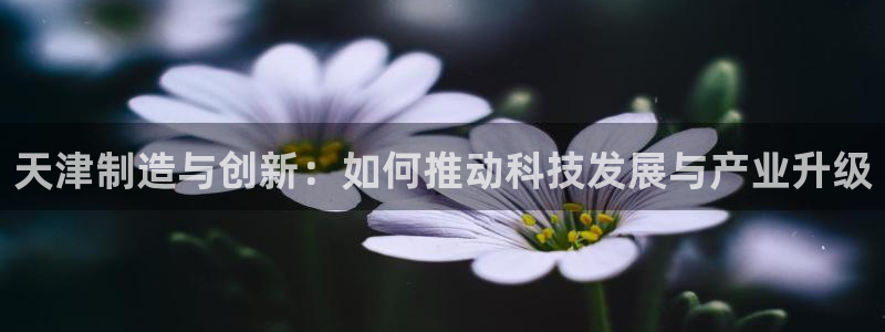 传奇电子cq9官网地址：天津制造与创新：如何推动科技发展与产