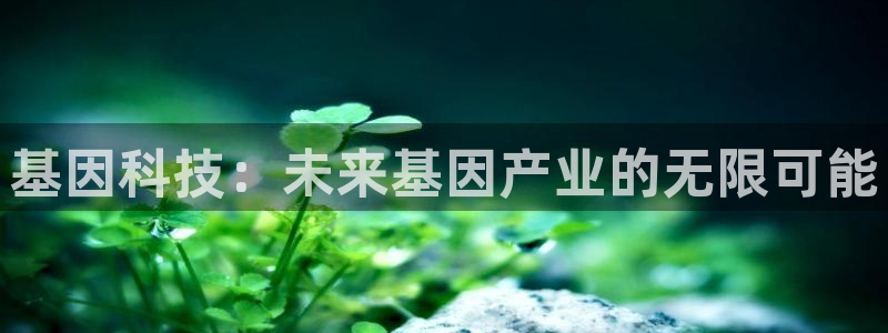 cq9电子舞火凤凰