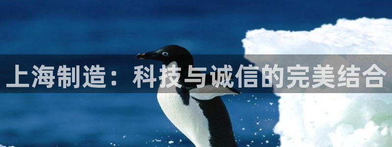 cq9电子足球狂热：上海制造：科技与诚信的完美结合