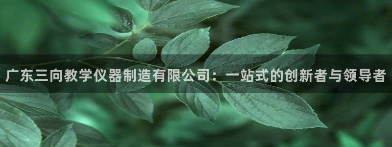 传奇cq9电子游戏：广东三向教学仪器制造有限公司：一站式的创