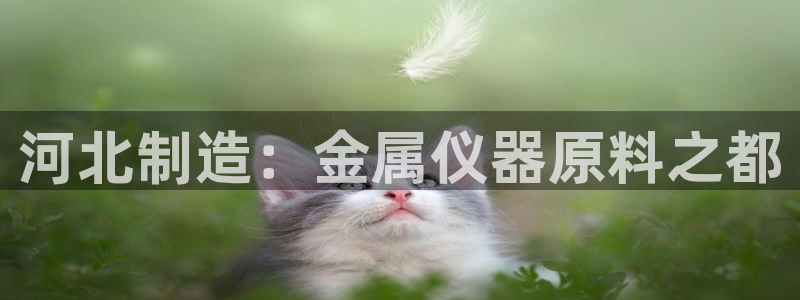 cq9电子套路：河北制造：金属仪器原料之都