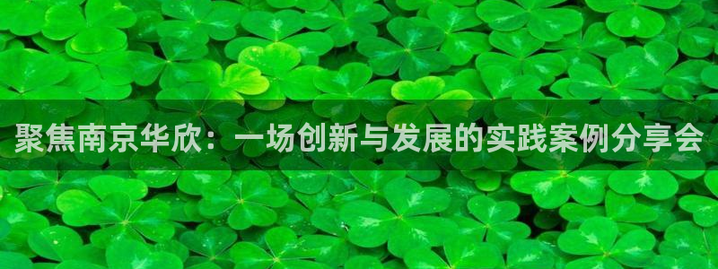 cq9电子金大款游戏：聚焦南京华欣：一场创新与发展的实践案例