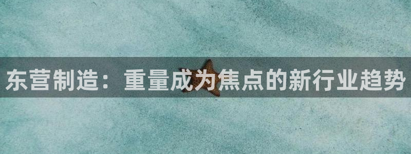cq9电子忍者浣熊：东营制造：重量成为焦点的新行业趋势