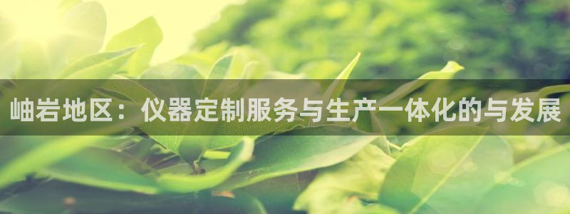 cq9游戏电子版：岫岩地区：仪器定制服务与生产一体化的与发展
