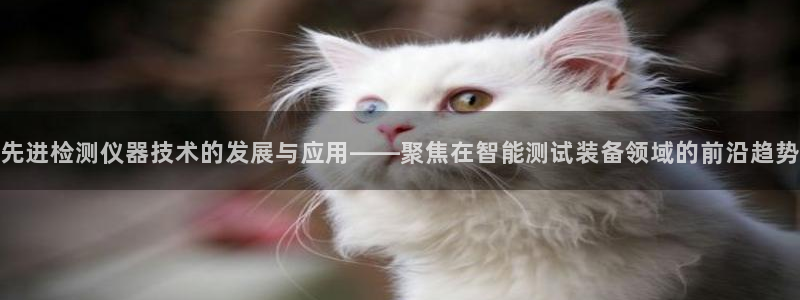 CQ9电子 app：先进检测仪器技术的发展与应用——聚焦在智