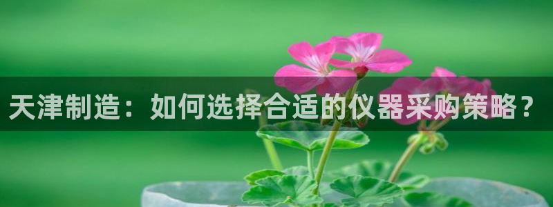 电子 cq9：天津制造：如何选择合适的仪器采购策略？