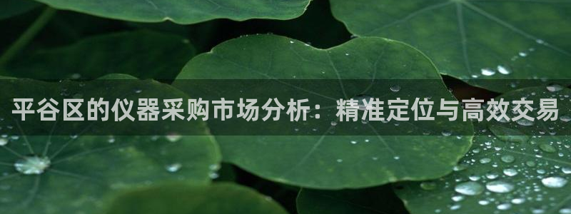 电子龙舞cq9：平谷区的仪器采购市场分析：精准定位与高效交易