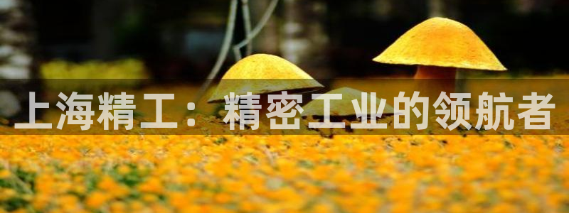 电子cq9跑得快：上海精工：精密工业的领航者
