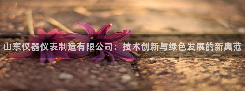 cq9电子体验爆奖：山东仪器仪表制造有限公司：技术创新与绿色