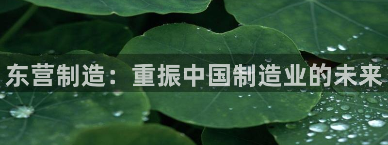 cq9电子舞冠军：东营制造：重振中国制造业的未来