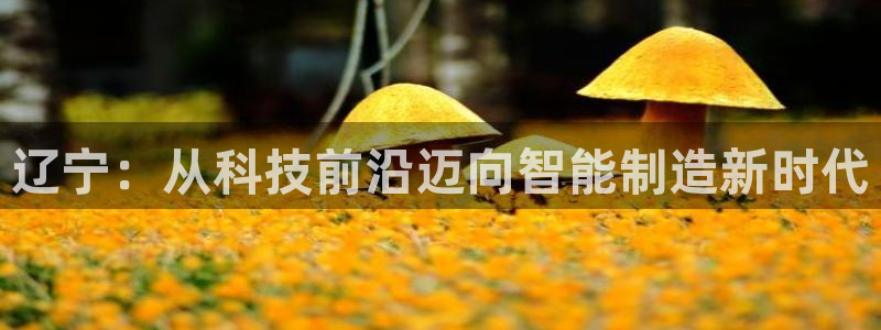 cq9电子平台秤厂家：辽宁：从科技前沿迈向智能制造新时代