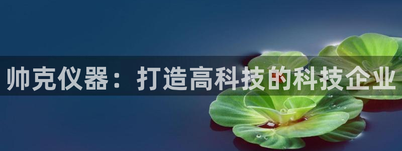 电子cq9送：帅克仪器：打造高科技的科技企业