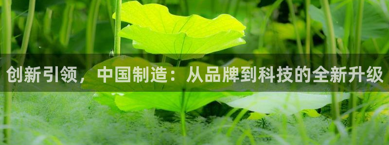 cq9电子直播：创新引领，中国制造：从品牌到科技的全新升级