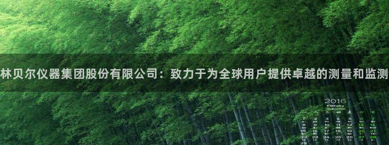 CQ9电子平台98db：林贝尔仪器集团股份有限公司：致力于为