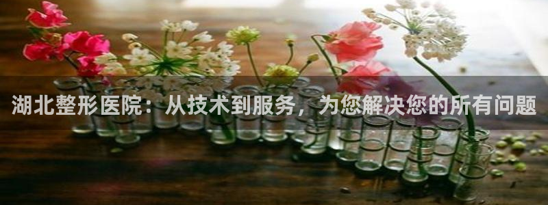 王子CQ9电子：湖北整形医院：从技术到服务，为您解决您的所有