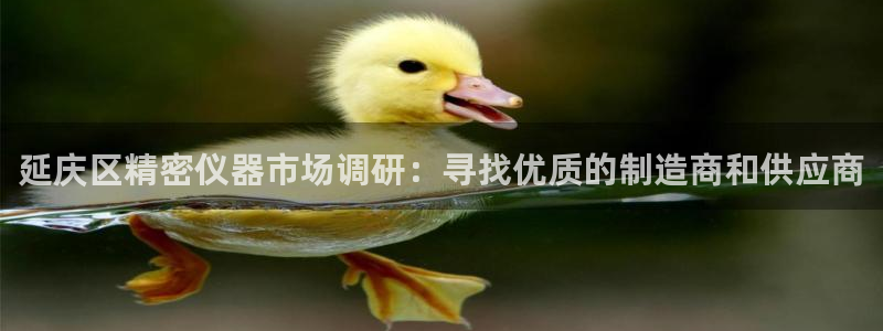 cq9电子女王：延庆区精密仪器市场调研：寻找优质的制造商和供