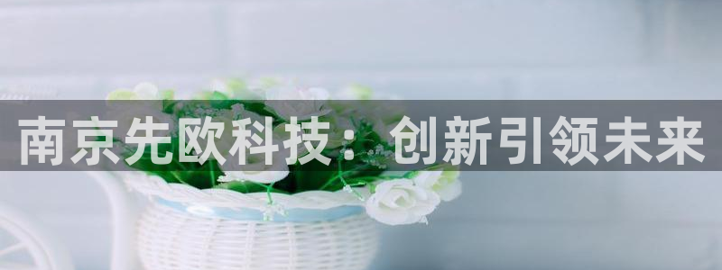 cq9传奇电子手机版：南京先欧科技：创新引领未来