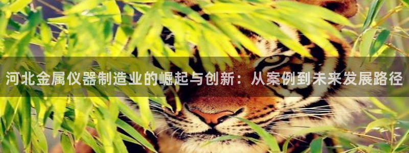 cq9电子宙斯视频：河北金属仪器制造业的崛起与创新：从案例到