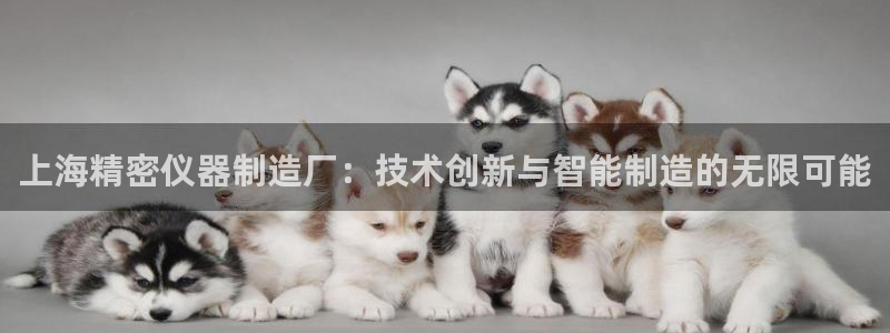 cq9阿波罗电子：上海精密仪器制造厂：技术创新与智能制造的无