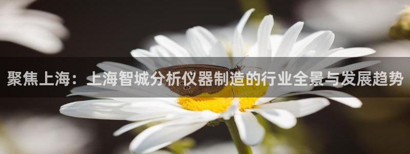 cq9传奇电子维护公告：聚焦上海：上海智城分析仪器制造的行业