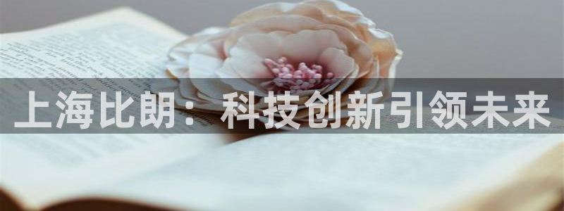 cq9电子维护到几点：上海比朗：科技创新引领未来