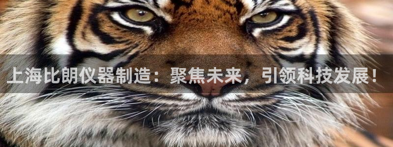 cq9电子手表：上海比朗仪器制造：聚焦未来，引领科技发展！