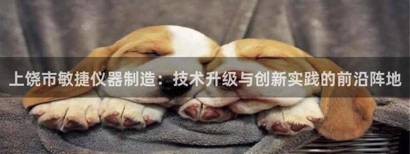 cq9传奇电子白菜网：上饶市敏捷仪器制造：技术升级与创新实践