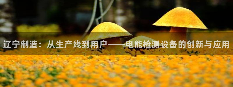 cq9电子官网app：辽宁制造：从生产线到用户——电能检测设