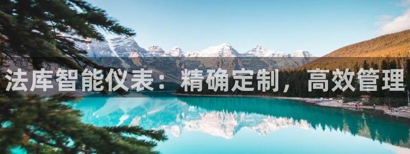 cq9传奇电子手游：法库智能仪表：精确定制，高效管理