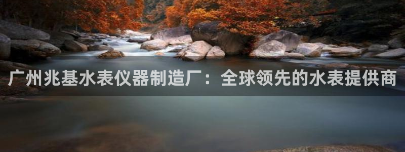 cq9电子哪个好玩：广州兆基水表仪器制造厂：全球领先的水表提