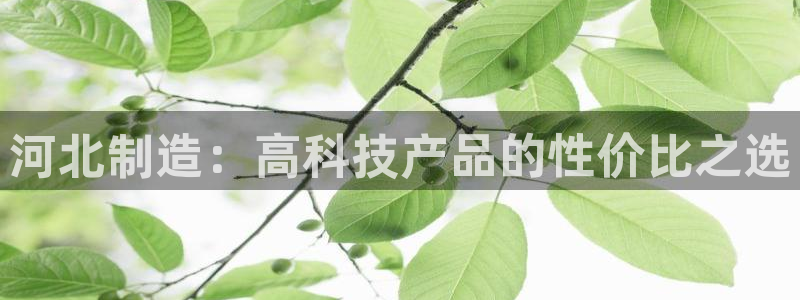 pg电子游戏cq9：河北制造：高科技产品的性价比之选