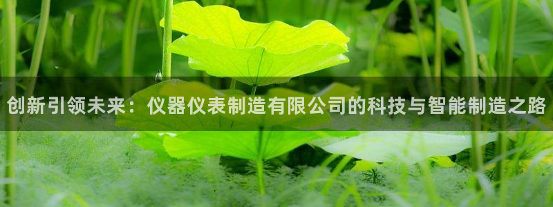 cq9电子发财神技巧：创新引领未来：仪器仪表制造有限公司的科