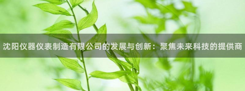 cq9电子在哪：沈阳仪器仪表制造有限公司的发展与创新：聚焦未