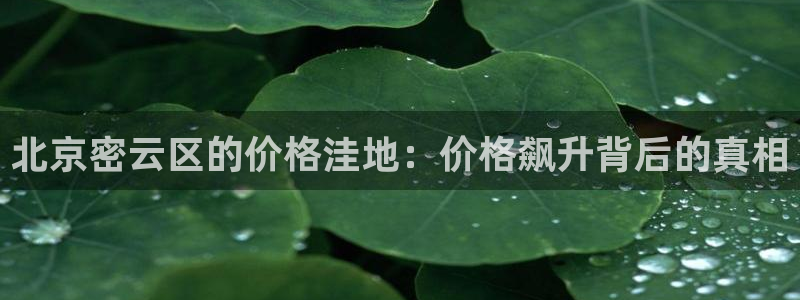 cq9电子备用网址：北京密云区的价格洼地：价格飙升背后的真相