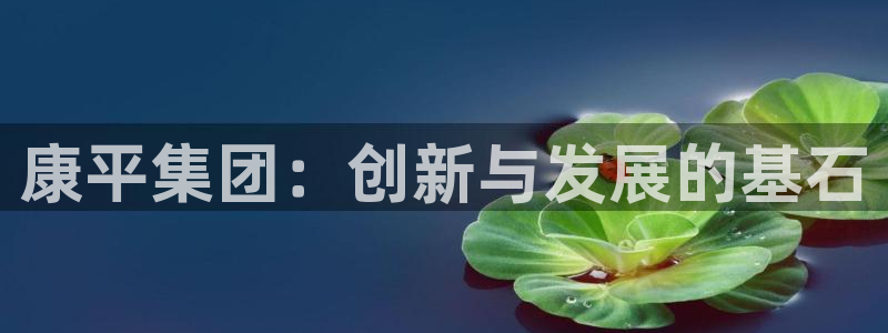 雷神电子cq9：康平集团：创新与发展的基石