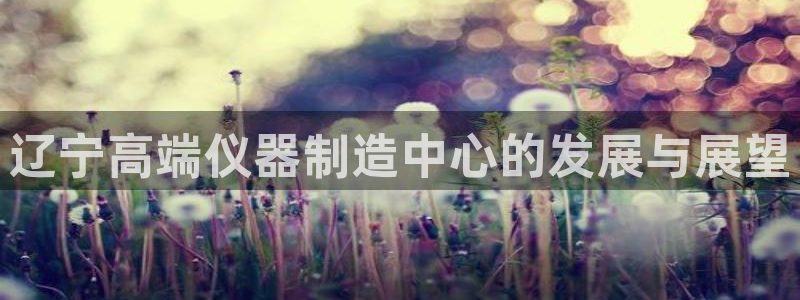 玩cq9电子的秘诀：辽宁高端仪器制造中心的发展与展望