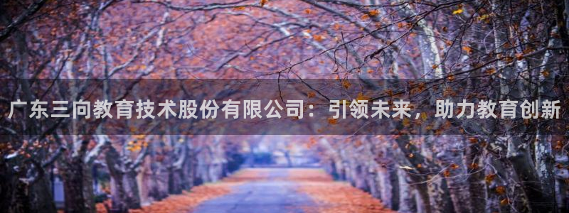 cq9电子飞天财神：广东三向教育技术股份有限公司：引领未来，