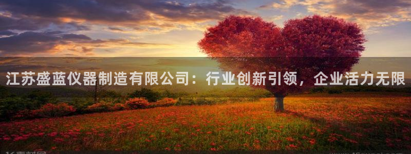 CQ9电子阿cf66：江苏盛蓝仪器制造有限公司：行业创新引领