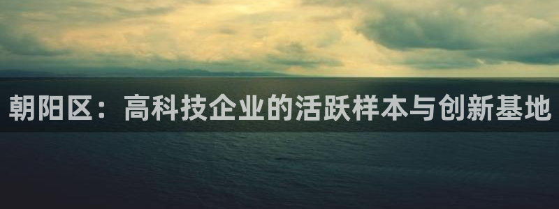 cq9电子旗舰：朝阳区：高科技企业的活跃样本与创新基地