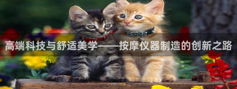 cq9电子跳教学：高端科技与舒适美学——按摩仪器制造的创新之