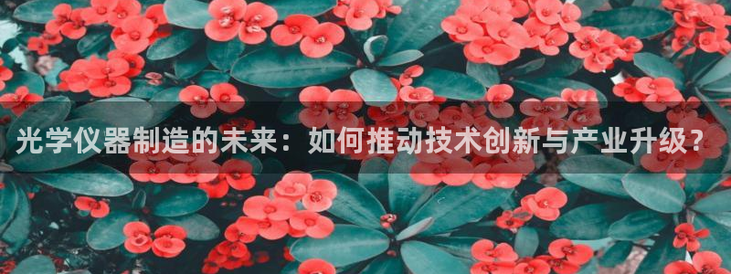 电子火之女王cq9：光学仪器制造的未来：如何推动技术创新与产