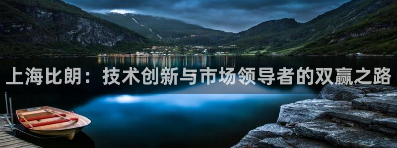 cq9电子测评：上海比朗：技术创新与市场领导者的双赢之路