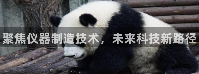 cq9传奇电子大奖：聚焦仪器制造技术，未来科技新路径