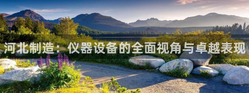 CQ9电子服务大厅服务：河北制造：仪器设备的全面视角与卓越表