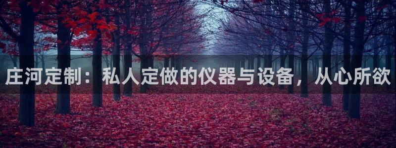 传奇电子cq9官网：庄河定制：私人定做的仪器与设备，从心所欲