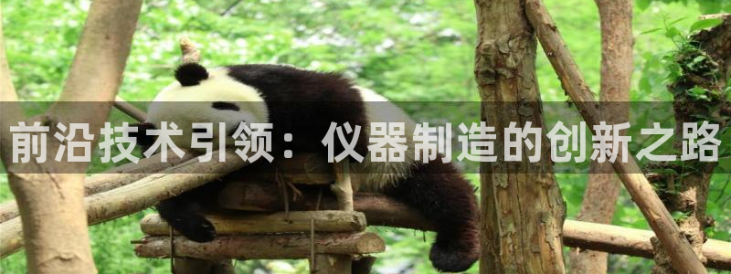 传奇电子cq9火神：前沿技术引领：仪器制造的创新之路