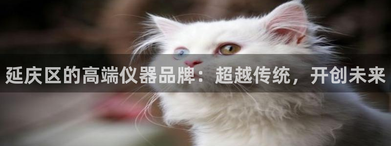 武圣cq9电子：延庆区的高端仪器品牌：超越传统，开创未来