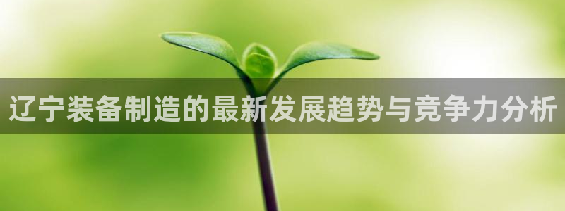 cq9电子以小博大：辽宁装备制造的最新发展趋势与竞争力分析