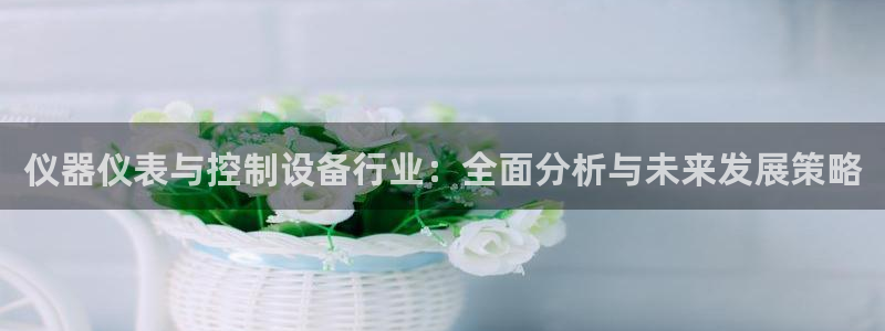 cq9电子聚宝盆：仪器仪表与控制设备行业：全面分析与未来发展