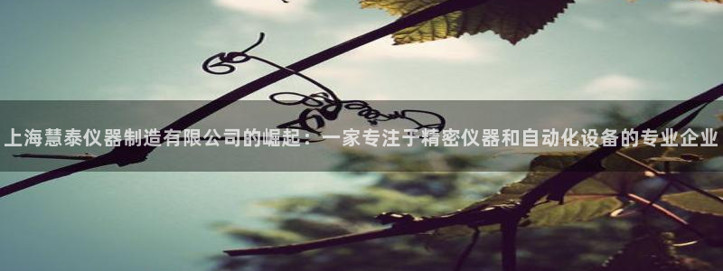 cq9电子爆大奖技巧：上海慧泰仪器制造有限公司的崛起：一家专
